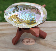 Load image into Gallery viewer, Abalone Shell and Wooden Tripod Cobra Stand
