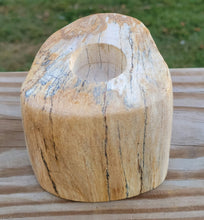 Load image into Gallery viewer, Petrified Wood Teal Light Candle Holder