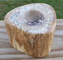Load image into Gallery viewer, Petrified Wood Teal Light Candle Holder