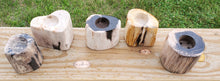 Load image into Gallery viewer, Petrified Wood Teal Light Candle Holder