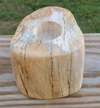 Load image into Gallery viewer, Petrified Wood Teal Light Candle Holder
